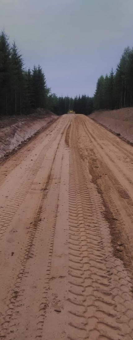 Kuršasta
